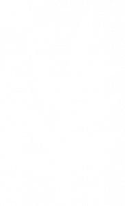 Blatt in weiss