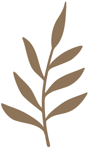 Blatt aus Logo Landhotel Baumwipfel